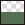 transparente_grüne_Kiefer